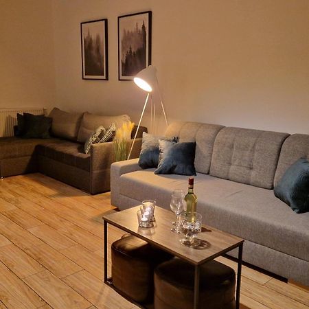 Monia Apartment Świeradów-Zdrój Dış mekan fotoğraf