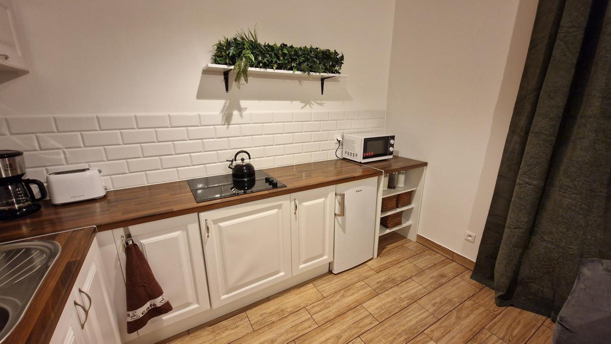 Monia Apartment Świeradów-Zdrój Dış mekan fotoğraf