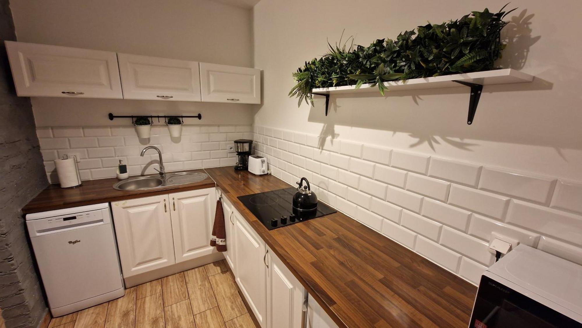 Monia Apartment Świeradów-Zdrój Dış mekan fotoğraf